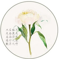 圆形简约手绘一束花//与谁同坐，明月清风我 (10)