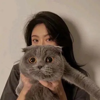 韩系女生抱猫头像高清 抱猫的女生韩系头像 (5)