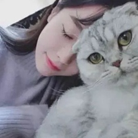 韩系女生抱猫头像高清 抱猫的女生韩系头像 (7)