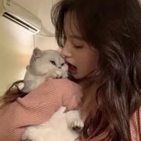 韩系女生抱猫头像高清 抱猫的女生韩系头像 (18)