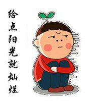 给点阳光就灿烂搞笑表情包头像 (13)