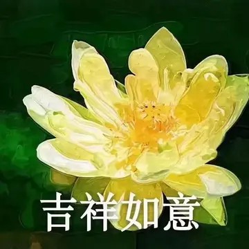 全最全莲花头像，love&peace