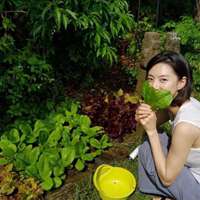 女孩拿树叶的头像 (8)