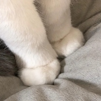 简单耐看头像图片 男女生简单耐看头像 (7)