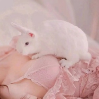 情侣宠物头像 超萌情侣抱宠物头像一对 (8)