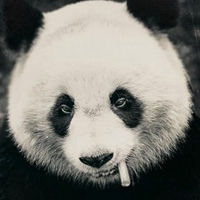 2021霸气男生头像 很拽很霸气的男生头像 (2)