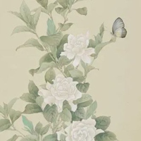 栀子花图片手绘图片 唯美栀子花开手绘图片 (4)