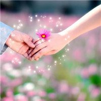 象征幸福的花朵头像 (11)