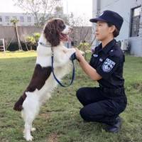 警花与警犬头像照片 (3)