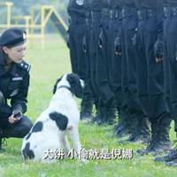 警花与警犬头像照片 (13)