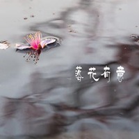 落花有意流水无情的伤感图片 (1)