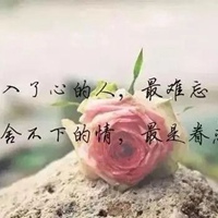 金典人生感悟图片带字 (13)