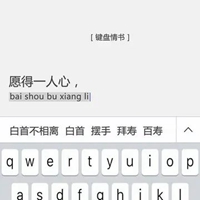[键盘情书:一千个人眼里有一千个你 而在我心里你是不可替代的]情书