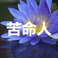 百科 个性 说说 经典说说 经典爱情说说带图片带字 7 有人问我