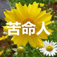 苦命人带字图片 (13)