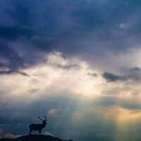 充满梦幻色彩的风景 (2)