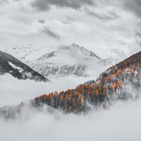 冰天雪地的冬季雪景头像 (12)