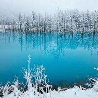 冰天雪地的冬季雪景头像 (15)