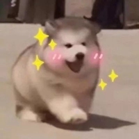 4月份沙雕头像分享 (4)