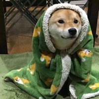 容易引起那个TA注意的沙雕头像 (6)