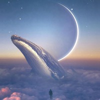 梦幻少女心月光传说梦幻美景 (2)