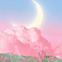 梦幻少女心月光传说梦幻美景 (3)