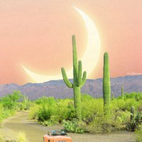 梦幻少女心月光传说梦幻美景 (6)