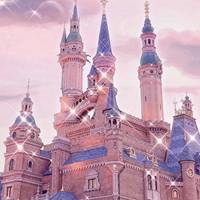 梦幻迪士尼城堡乐园童话般 (1)