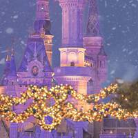 梦幻迪士尼城堡乐园童话般 (2)
