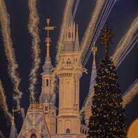 梦幻迪士尼城堡乐园童话般 (3)