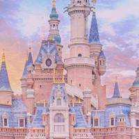 梦幻迪士尼城堡乐园童话般 (8)
