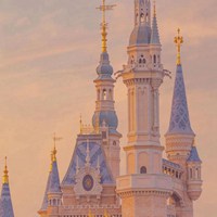 梦幻迪士尼城堡乐园童话般 (9)