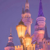 梦幻迪士尼城堡乐园童话般 (13)