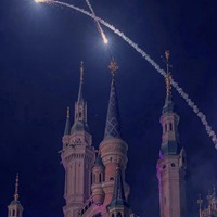 梦幻迪士尼城堡乐园童话般 (14)