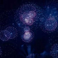 璀璨烟花映照唯美的天空头像 (2)