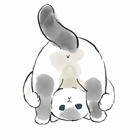 很火的弯腰看后面的可爱猫咪卡通头像 (7)