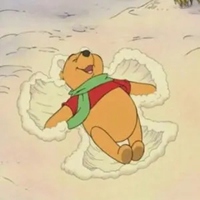 有趣可爱的维尼熊微信头像 (7)