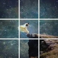 hello软件头像 (20)