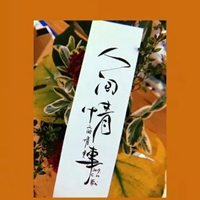 但是成年人的生活里没有