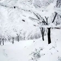 韩·夜雪夜景poco摄影韩国夜景雪景