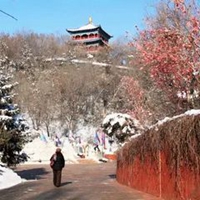 踏雪寻梅带字图片雪景 (8)