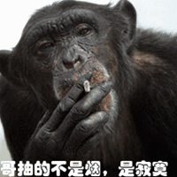 抽的不是烟是寂寞图片 哥抽的不是烟而是寂寞带字图 (9)