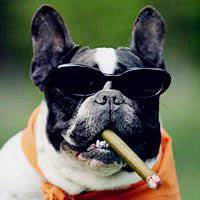 戴墨镜叼烟的大佬头像 (9)