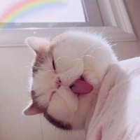 一点也不正经的头像 (4)