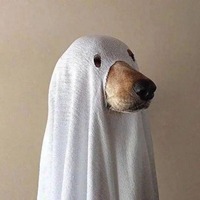 一般人不会用的头像 (15)