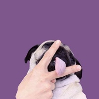 小女孩必备精品头像 (2)