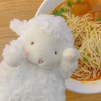 温暖又治愈的咩咩咩咩羊来了 (7)