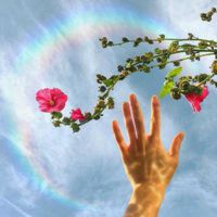 花朵头像，给生活一份恬静 (5)