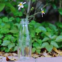 花朵头像，给生活一份恬静 (9)