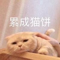 让人惬意的绵软软猫咪头像 (18)